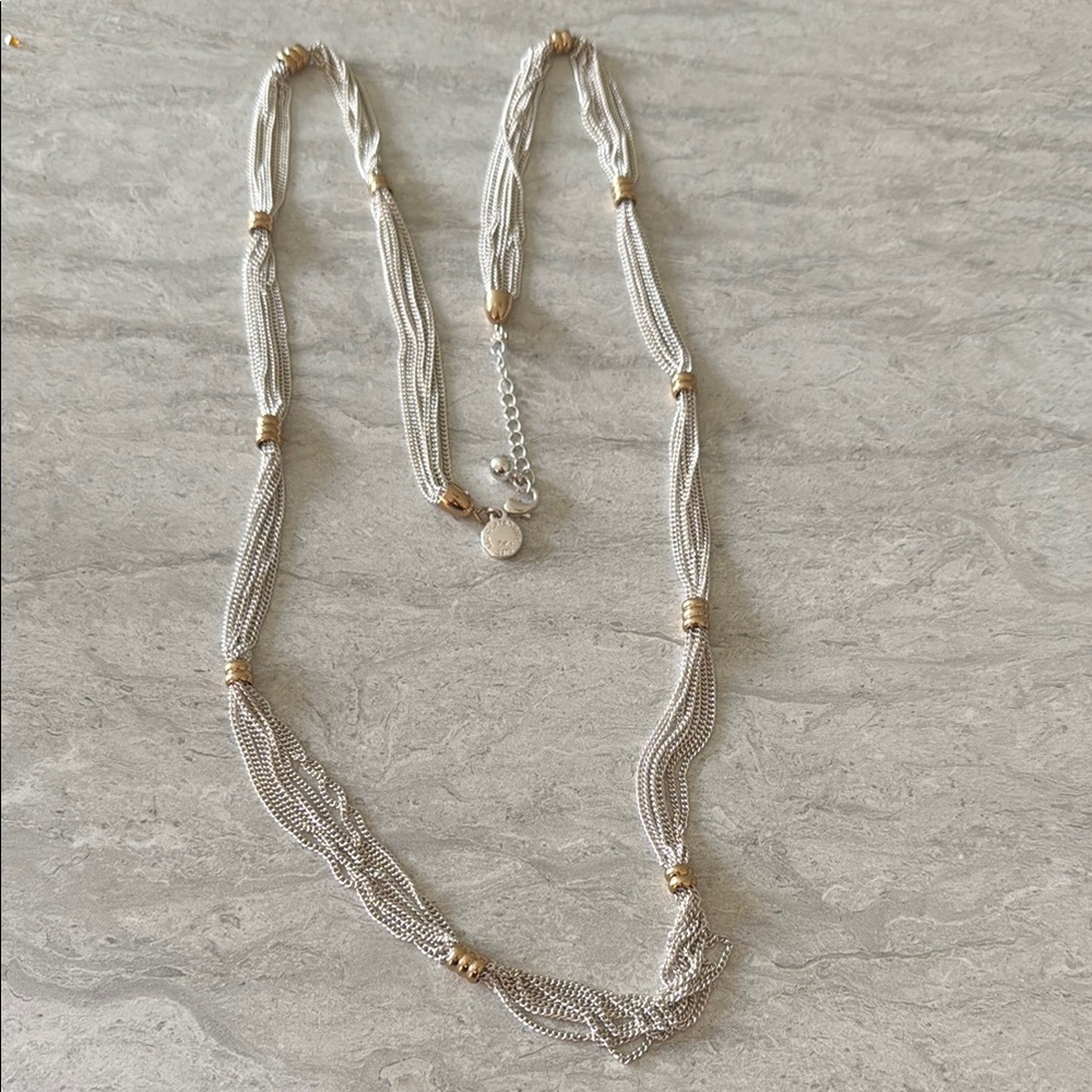 Liz Claiborne Silver and Gold Twisted Necklace